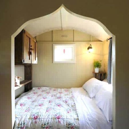 Beech Shepherds Hut York Exteriör bild
