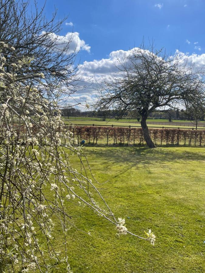 Beech Shepherds Hut York Exteriör bild